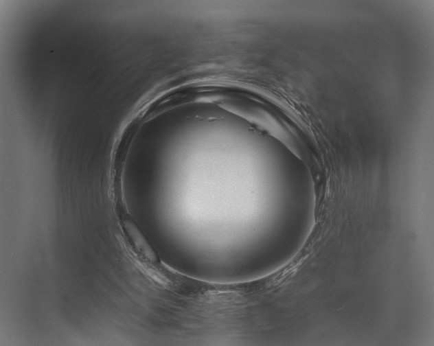 X0000074290150200608251353