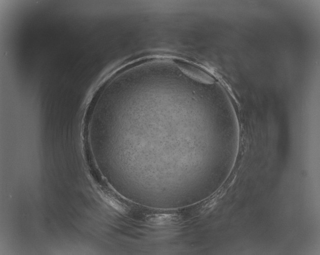 X0000074290151200608251353