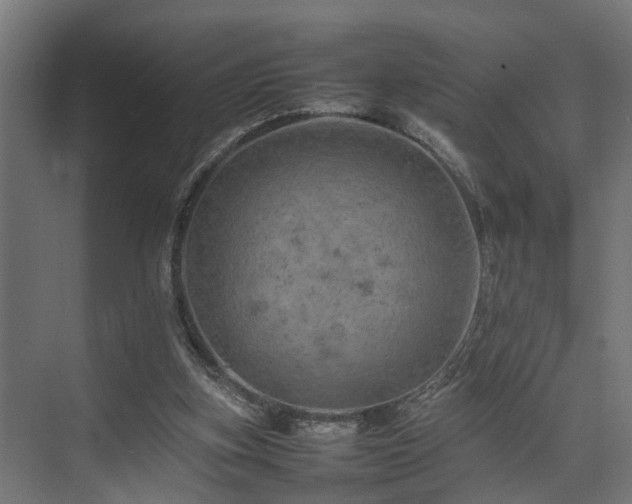 X0000074290155200608251353