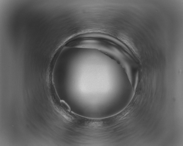 X0000074290156200608251353