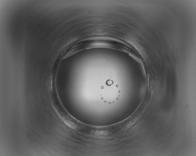 X0000074290157200608251353