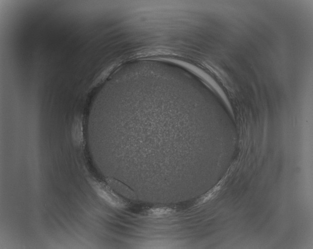 X0000074290158200608251353