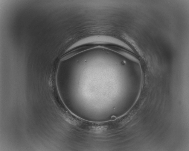 X0000074290161200608251353