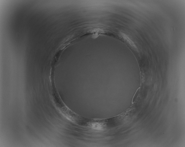 X0000074290163200608251353