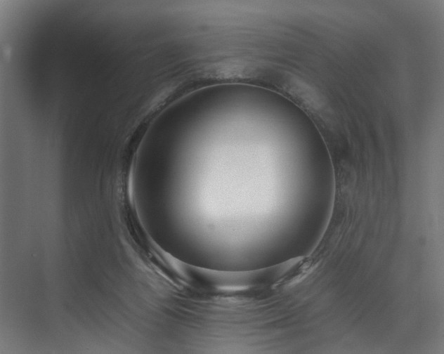 X0000074290164200608251353