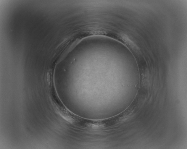 X0000074290165200608251353