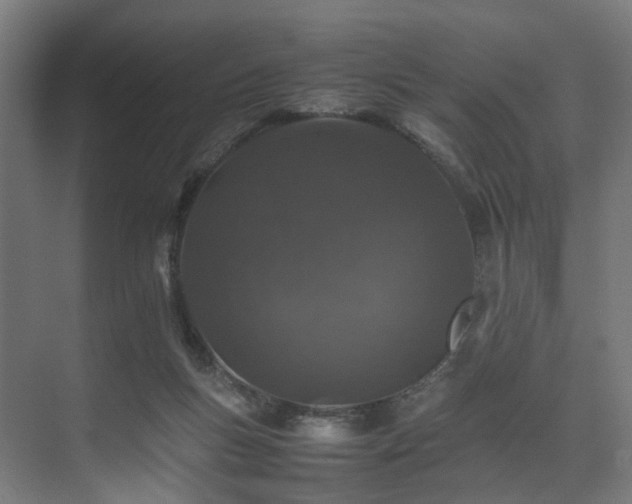 X0000074290167200608251353