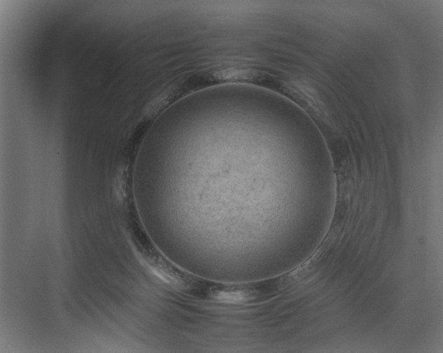 X0000074290171200608251353