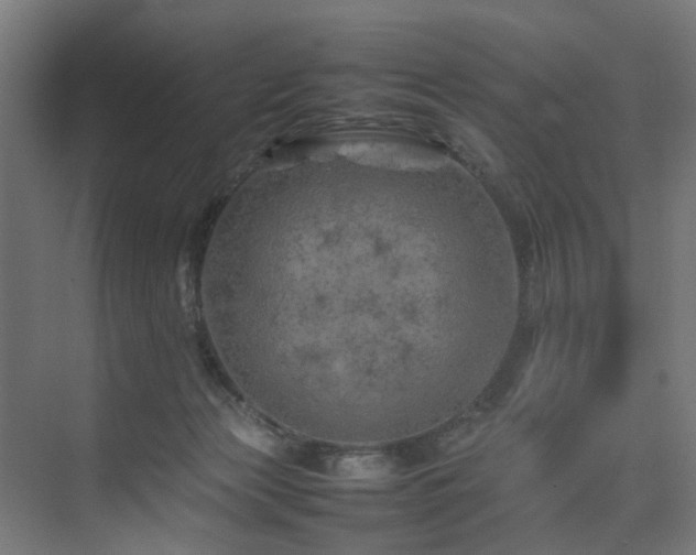 X0000074290173200608251353