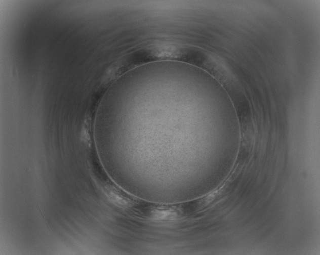 X0000074290175200608251353