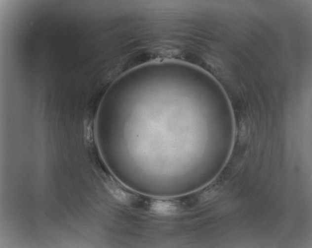 X0000074290177200608251353