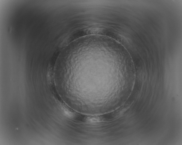 X0000074290181200608251354