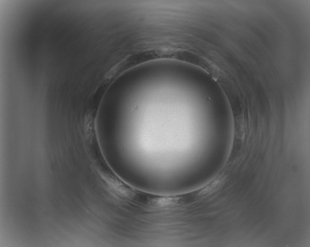 X0000074290184200608251354