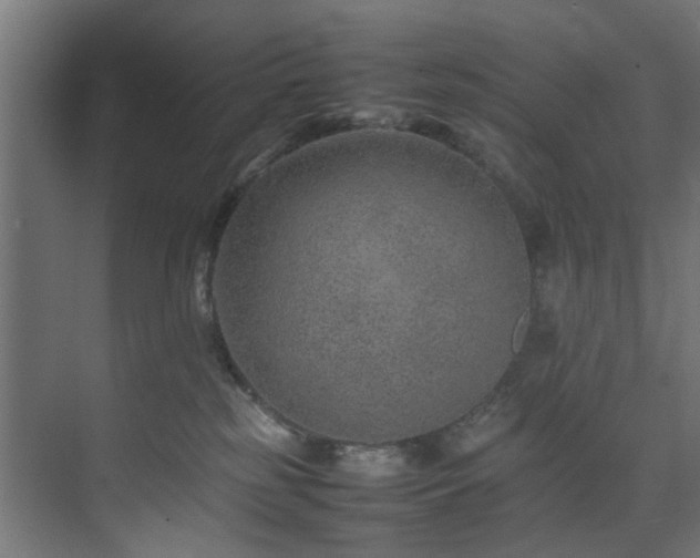 X0000074290185200608251354