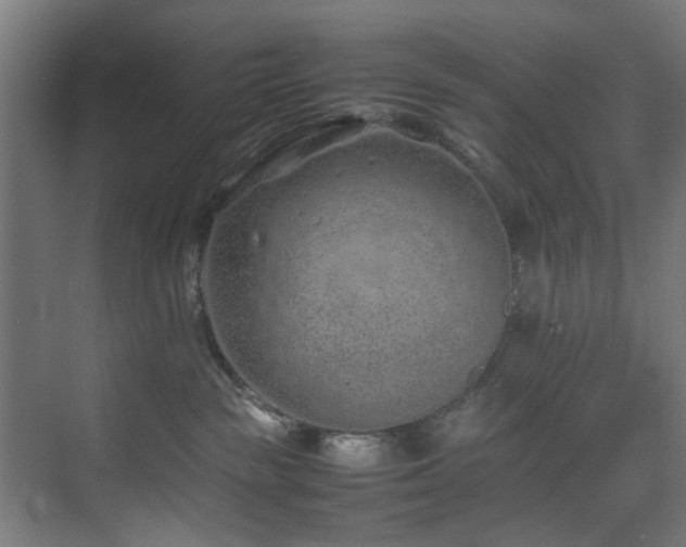 X0000074290189200608251354