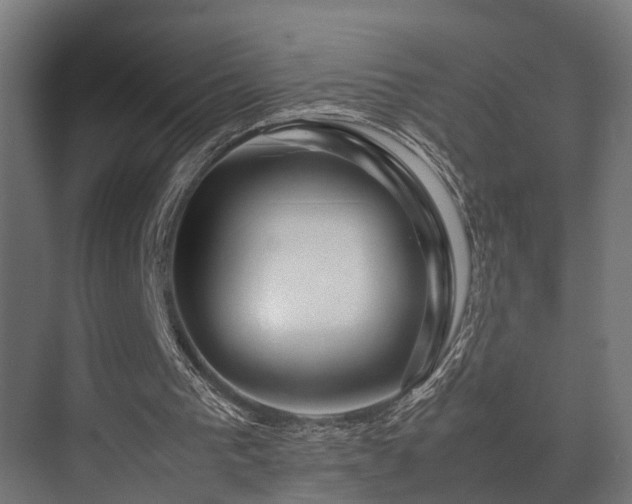 X0000074290193200608251353