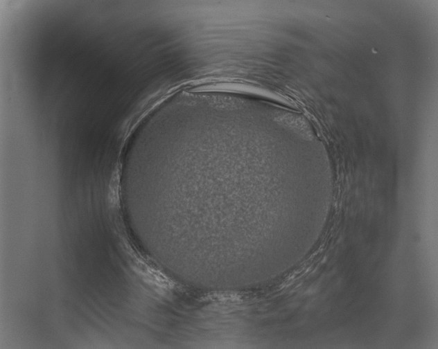 X0000074290194200608251353