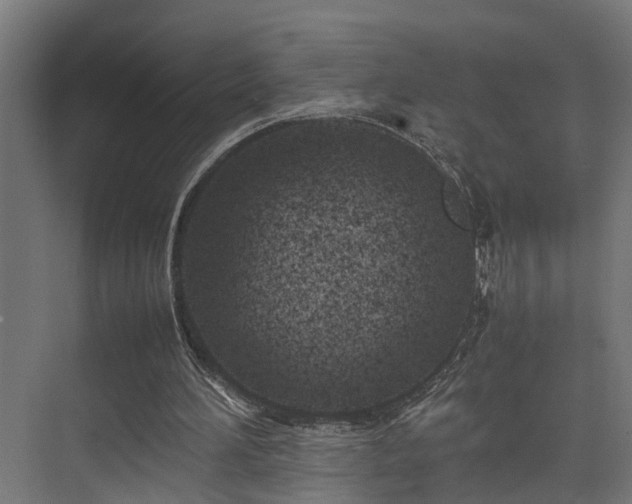 X0000074290196200608251353