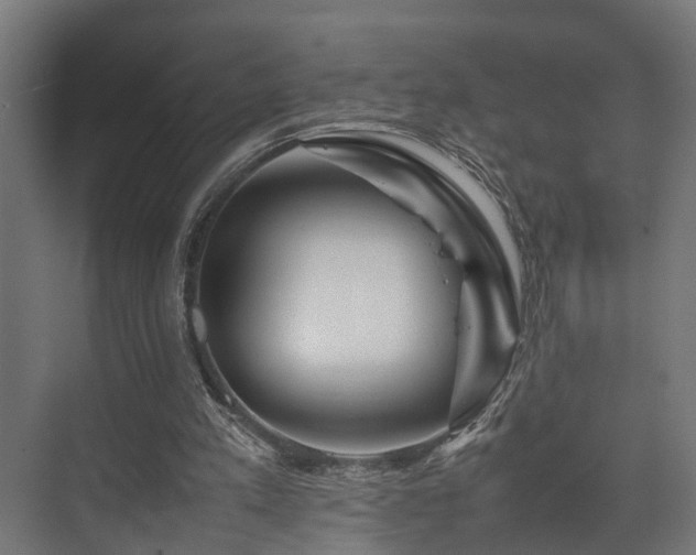 X0000074290197200608251353