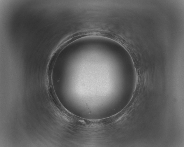 X0000074290198200608251353