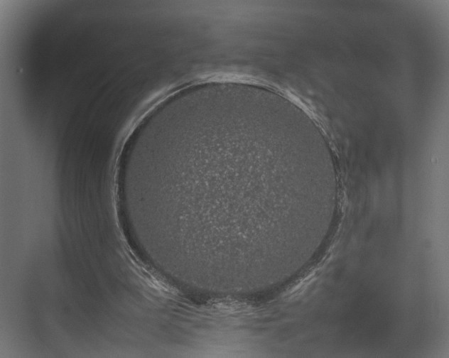 X0000074290199200608251353