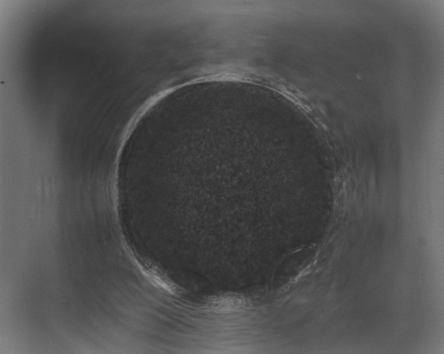 X0000074290200200608251353