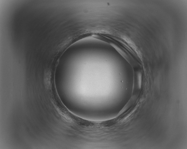 X0000074290201200608251353