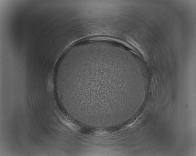 X0000074290203200608251353