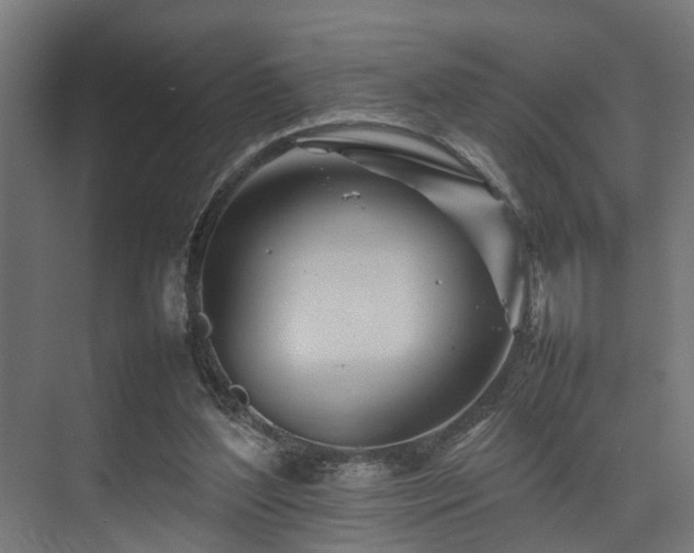 X0000074290204200608251353