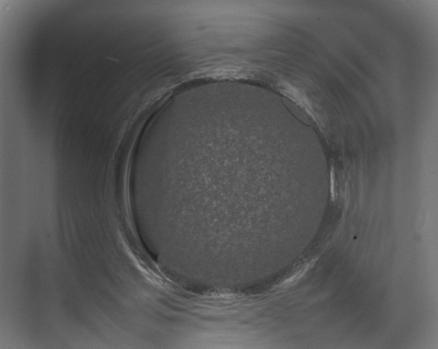 X0000074290205200608251353