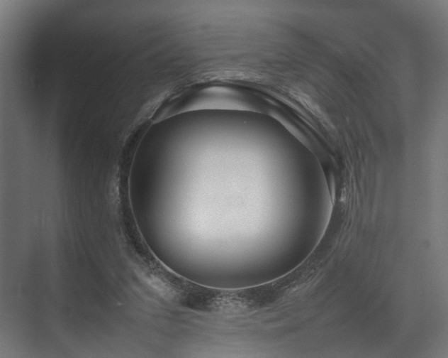 X0000074290207200608251353