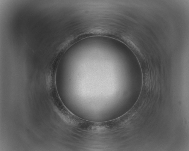 X0000074290208200608251353