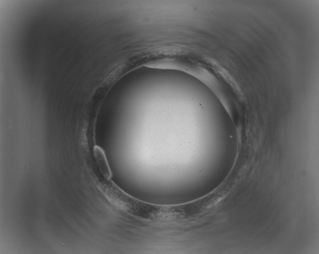 X0000074290209200608251353