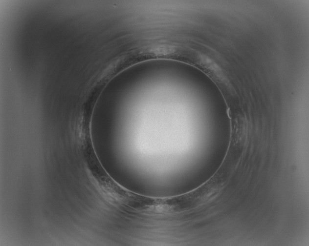 X0000074290212200608251353