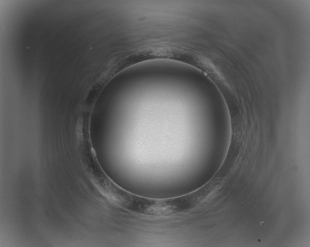 X0000074290213200608251353