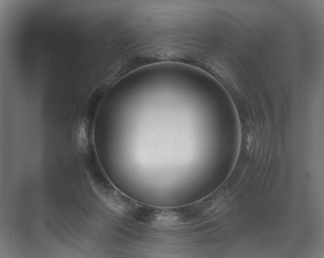 X0000074290214200608251353