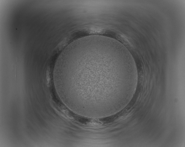 X0000074290215200608251353