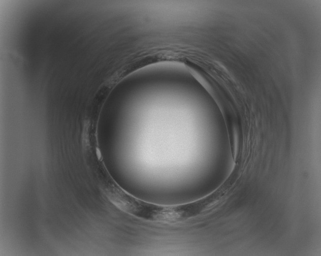 X0000074290217200608251353