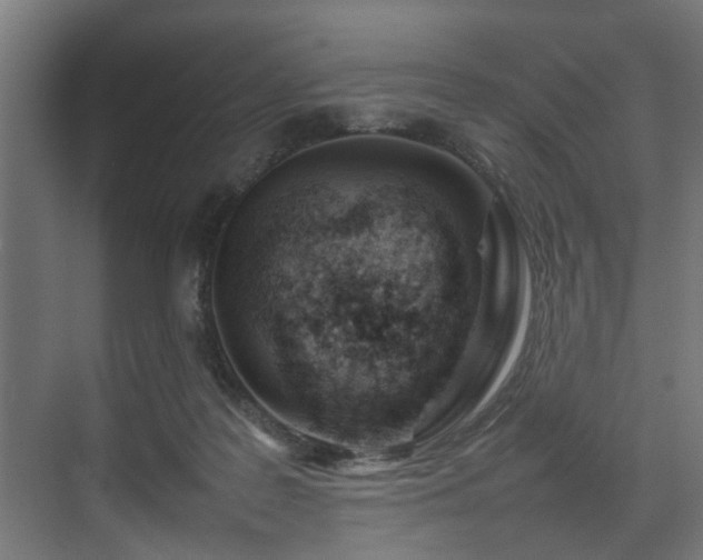 X0000074290219200608251353