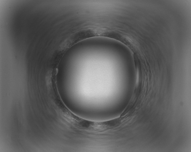 X0000074290221200608251352