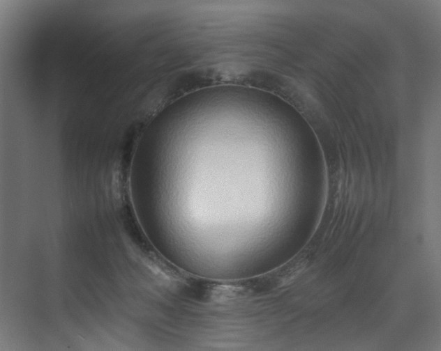 X0000074290222200608251352