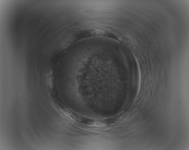 X0000074290223200608251352