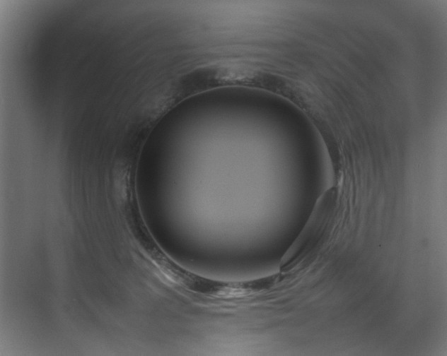 X0000074290227200608251352