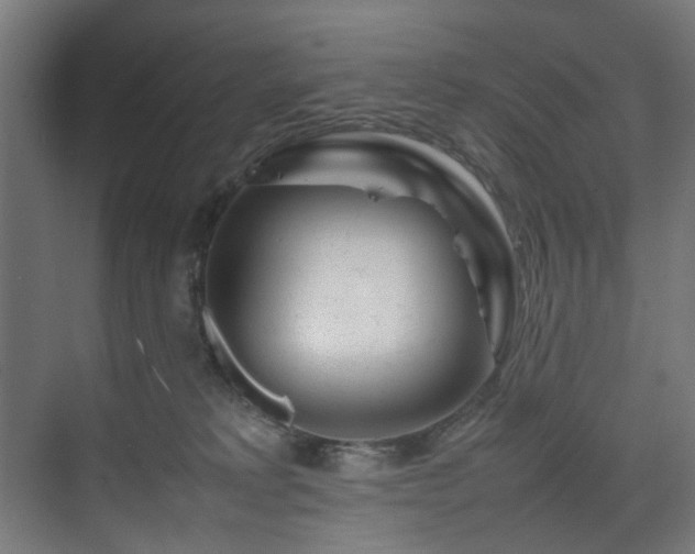 X0000074290229200608251352