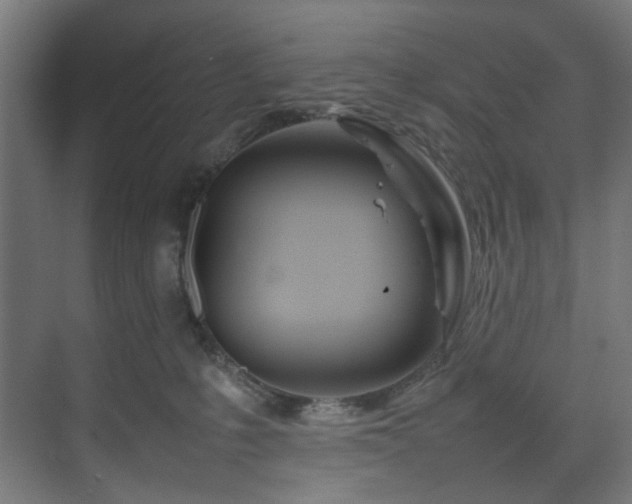 X0000074290231200608251352