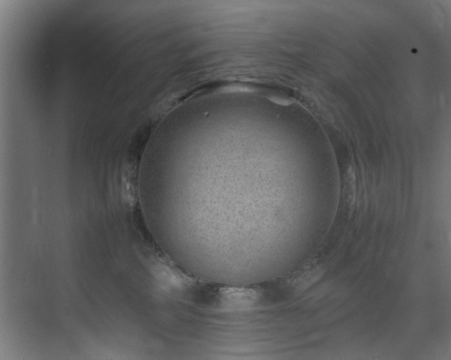 X0000074290234200608251352