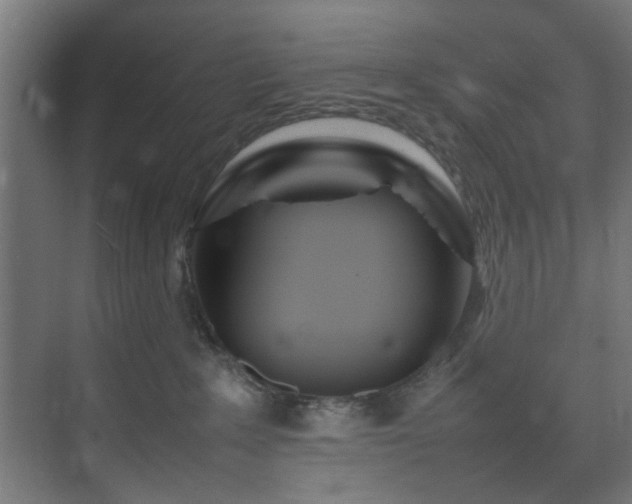 X0000074290235200608251352