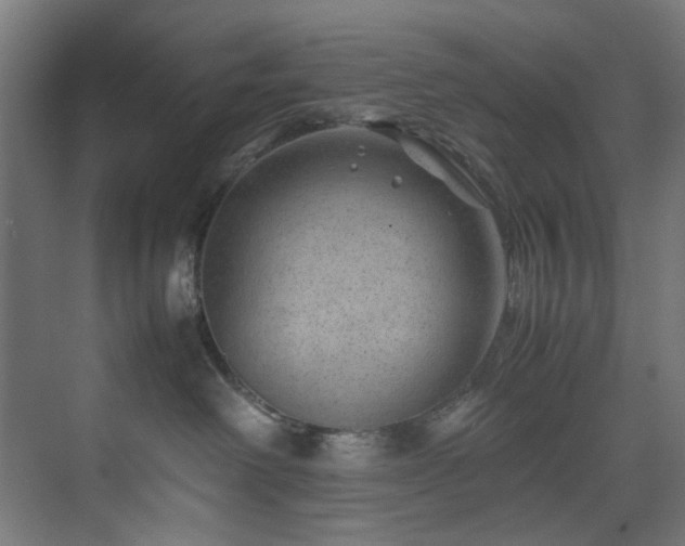 X0000074290238200608251352