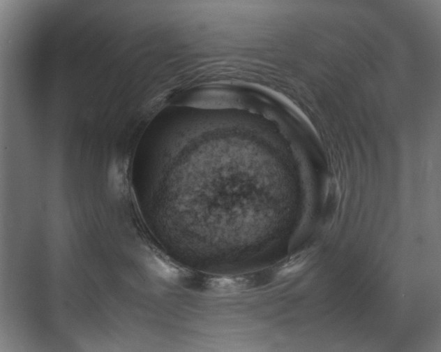 X0000074290239200608251352