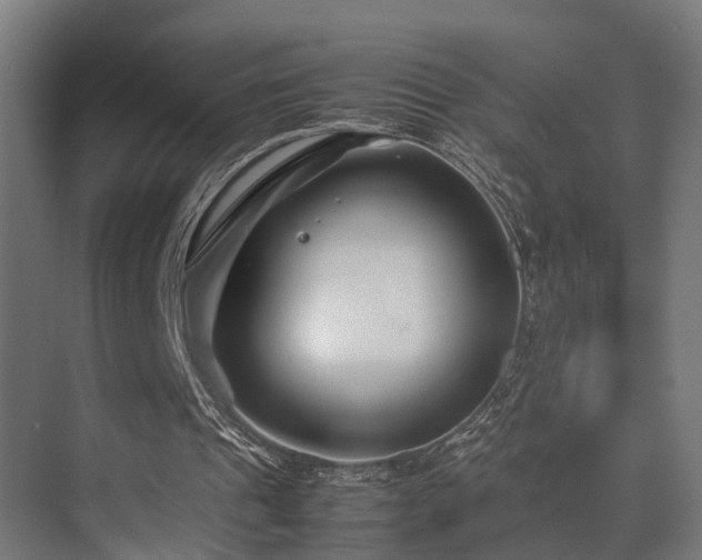 X0000074290241200608251351